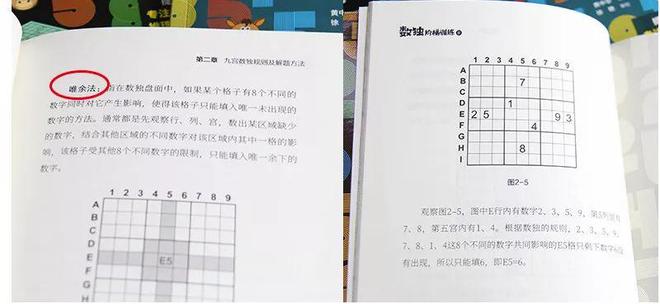 自从孩子看了这套数独游戏书逻辑思维蹭蹭地提高!买球软件(图24) 自从孩子看了这套数独游戏书逻辑思维蹭蹭地提高!买球软件(图24)